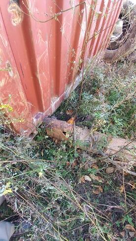 Прицеп самосвал МАЗ-85610024Р2